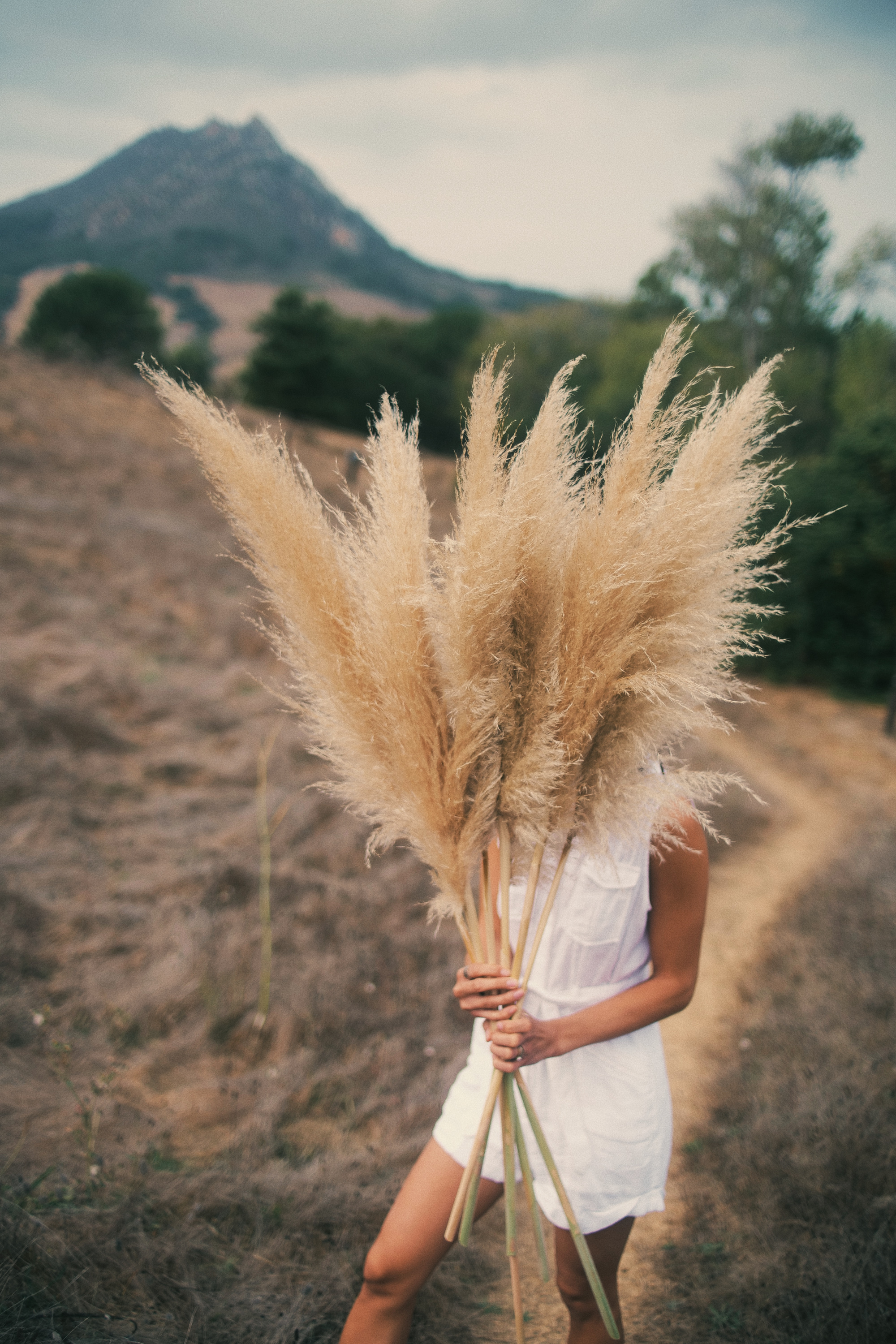 Woman in White Dress Holding Wheat