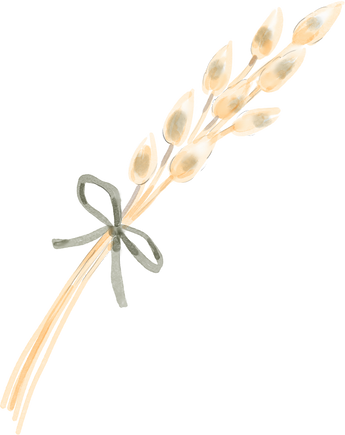 Watercolor Boho Decorative Tail Grass