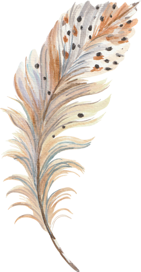 Watercolour Feather